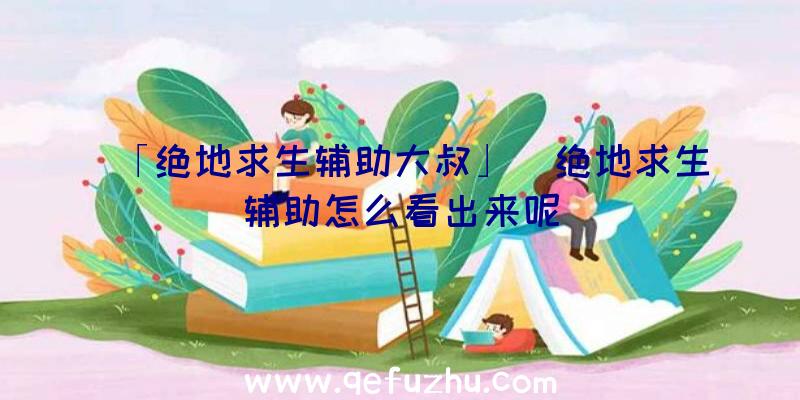 「绝地求生辅助大叔」|绝地求生辅助怎么看出来呢